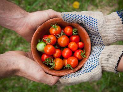 Agriculteur(s) : Mutualiser ses efforts en se constituant en GAEC.