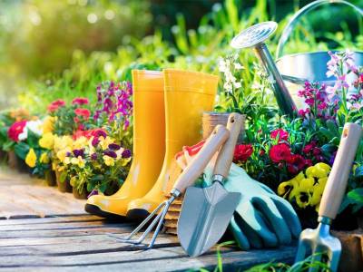 ESPERLUETTE | Notre revue de presse mensuelle 